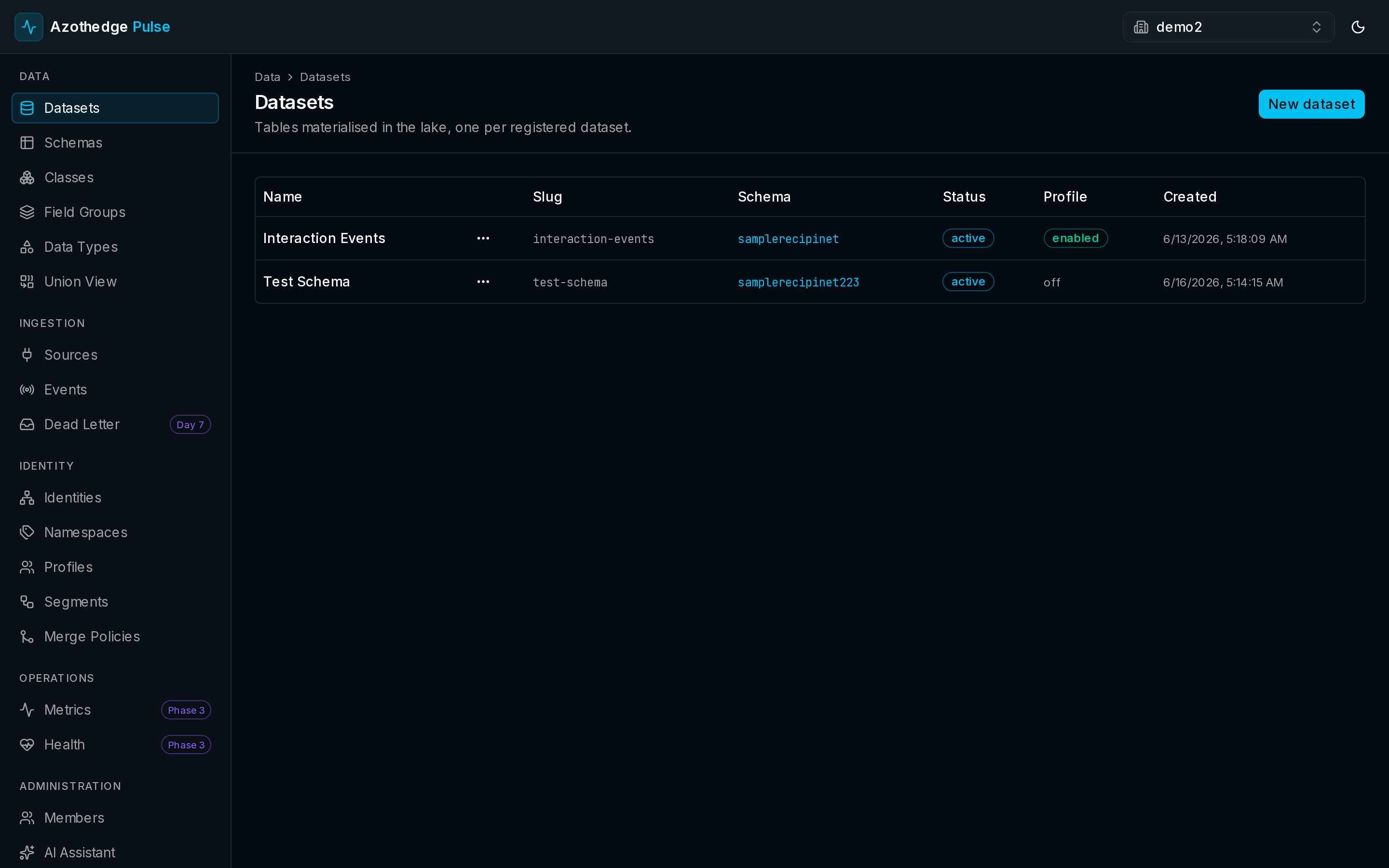 The Datasets list in Pulse showing each dataset and its status